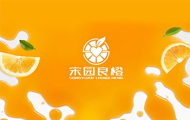 某良橙——合肥LOGO设计